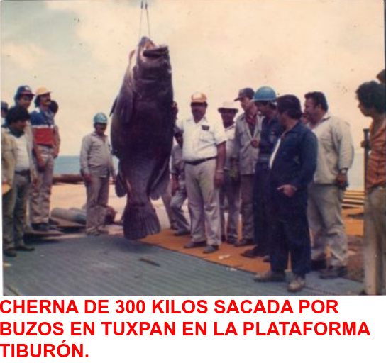 Fotografía de Tuxpan México